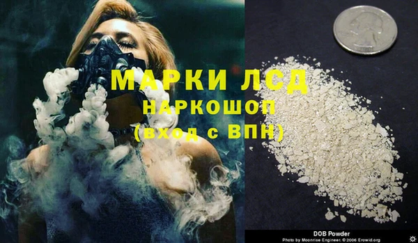 ГАЛЛЮЦИНОГЕННЫЕ ГРИБЫ Аркадак