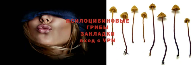 ГАЛЛЮЦИНОГЕННЫЕ ГРИБЫ Аркадак