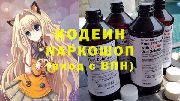 ГАЛЛЮЦИНОГЕННЫЕ ГРИБЫ Аркадак