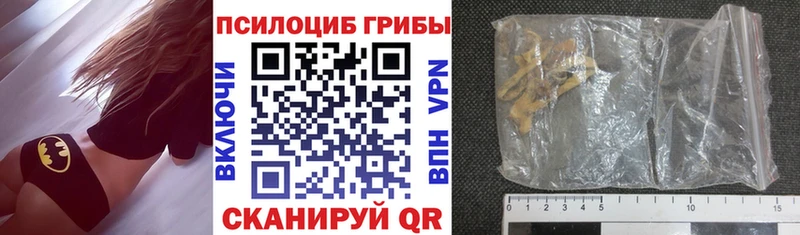 сколько стоит  Прохладный  Галлюциногенные грибы мухоморы 