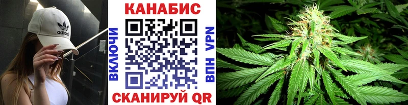 Канабис SATIVA & INDICA  Прохладный 